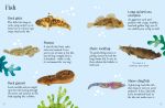 Rock Pool Life to Spot spread