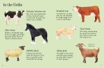 Farm Animals to Spot spread