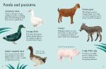 Farm Animals to Spot spread