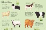 Farm Animals to Spot spread