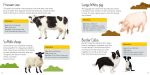 Usborne Book and Jigsaw Farm spread