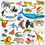 Usborne Book and Jigsaw Wild Animals spread