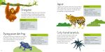 Usborne Book and Jigsaw Wild Animals spread