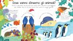 Dove vanno d’inverno gli animali? pagina interna