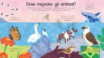 Dove vanno d’inverno gli animali? pagina interna