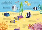 Usborne Book and Jigsaw Coral Reef spread