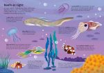 Usborne Book and Jigsaw Coral Reef spread