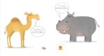 Allo zoo pagina interna
