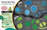 Le livre du microscope page intérieure