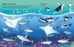 First Sticker Book Sharks and Rays spread