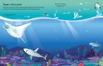 First Sticker Book Sharks and Rays spread
