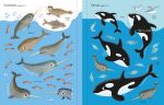 First Sticker Book Narwhals spread