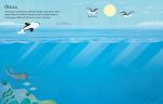 First Sticker Book Narwhals spread