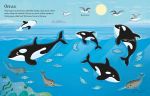 First Sticker Book Narwhals spread