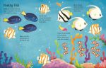 Wipe-Clean Aquarium Activities spread