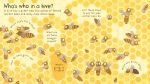 First Questions and Answers: Why do we need bees? spread