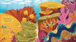 Look Inside Seas and Oceans spread