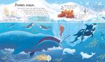 Look Inside Seas and Oceans spread