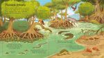 Look Inside Seas and Oceans spread