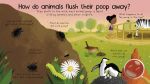 First Questions and Answers: Where Does Poop Go? spread