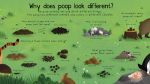 First Questions and Answers: Where Does Poop Go? spread
