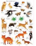 First Sticker Book Nature spread