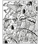 Birds Magic Painting Book spread