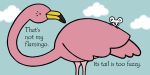That's not my flamingo… spread