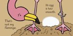 That's not my flamingo… spread