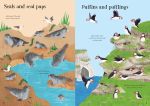 Little First Stickers Seashore spread