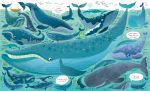 Book and Jigsaw Under the Sea spread
