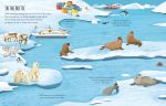 First Sticker Book Planet Earth spread