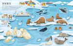 First Sticker Book Planet Earth spread