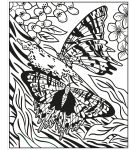 Butterflies Magic Painting Book spread