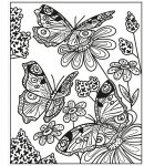 Butterflies Magic Painting Book spread