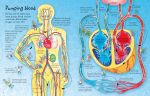 See Inside Your Body spread