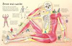 See Inside Your Body spread