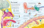 See Inside Your Body spread