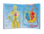 See Inside Your Body spread