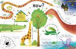 Lift-the-flap Questions and Answers about Animals spread