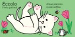 Dov'è il mio gattino? pagina interna