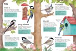 Spotter's Guides: Birds spread