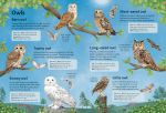 Spotter's Guides: Birds spread