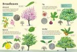 Spotter's Guides: Trees spread