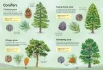 Spotter's Guides: Trees spread