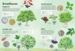 Spotter's Guides: Trees spread