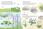 Spotter's Guides: Wild Flowers spread