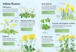 Spotter's Guides: Wild Flowers spread