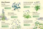 Spotter's Guides: Wild Flowers spread