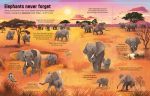 Can Animals Think? spread